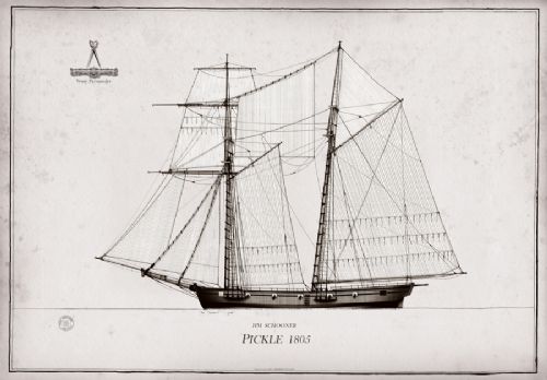 1805 HMS Pickle pen ink study by Tony Fernandes